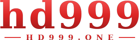 hd999 logo